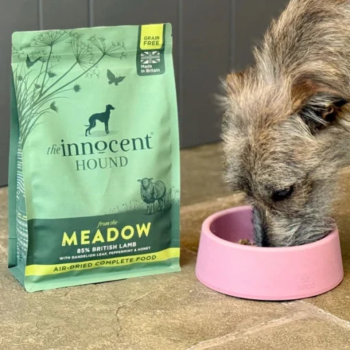 The Innocent Hound â Meadow Lamb