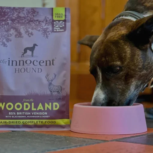 The Innocent Hound – Woodland Venison
