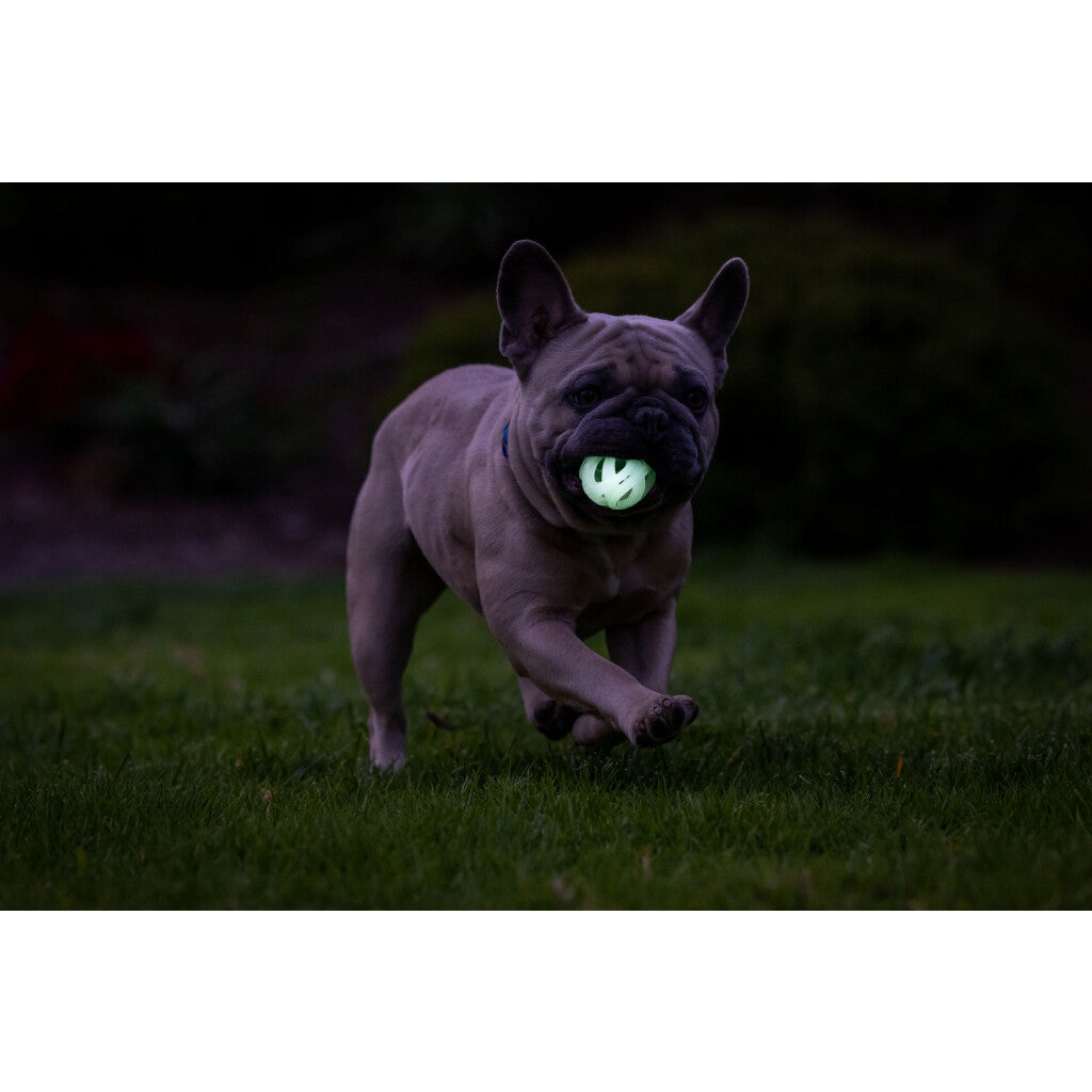 Chuckit! Max Glow Air Fetch Ball