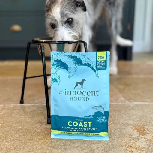 The Innocent Hound – Coast Salmon