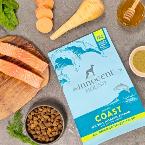 The Innocent Hound – Coast Salmon