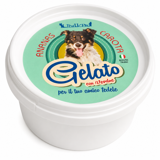 Gelato Hundeis Ananas & Gulrot