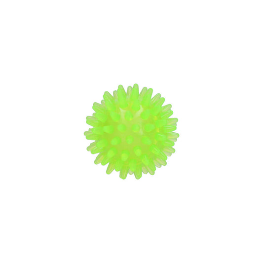 Dog Comets Exoplanet Piggball