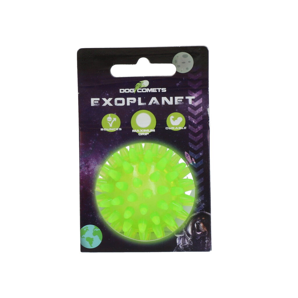 Dog Comets Exoplanet Piggball