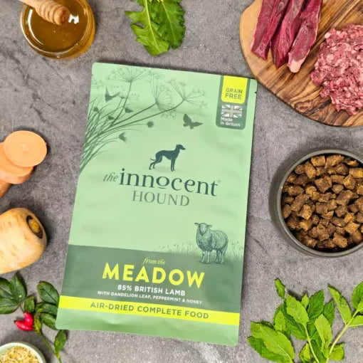 The Innocent Hound – Meadow Lamb