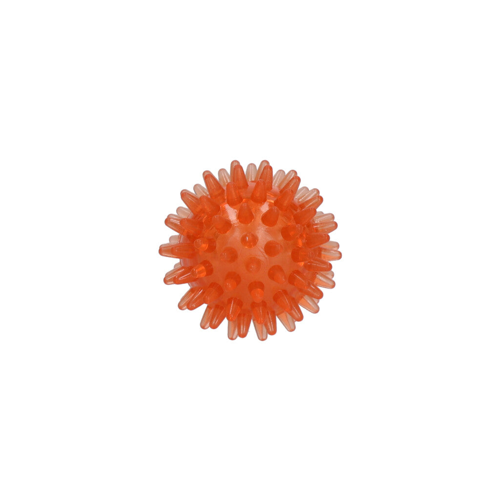 Dog Comets Exoplanet Piggball