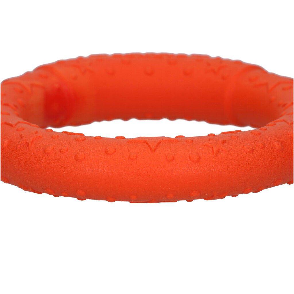 Dog Comets UFO Ring 19cm