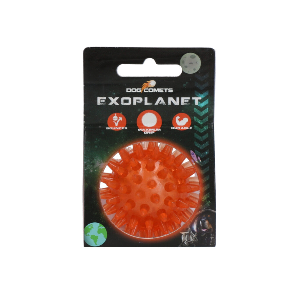 Dog Comets Exoplanet Piggball