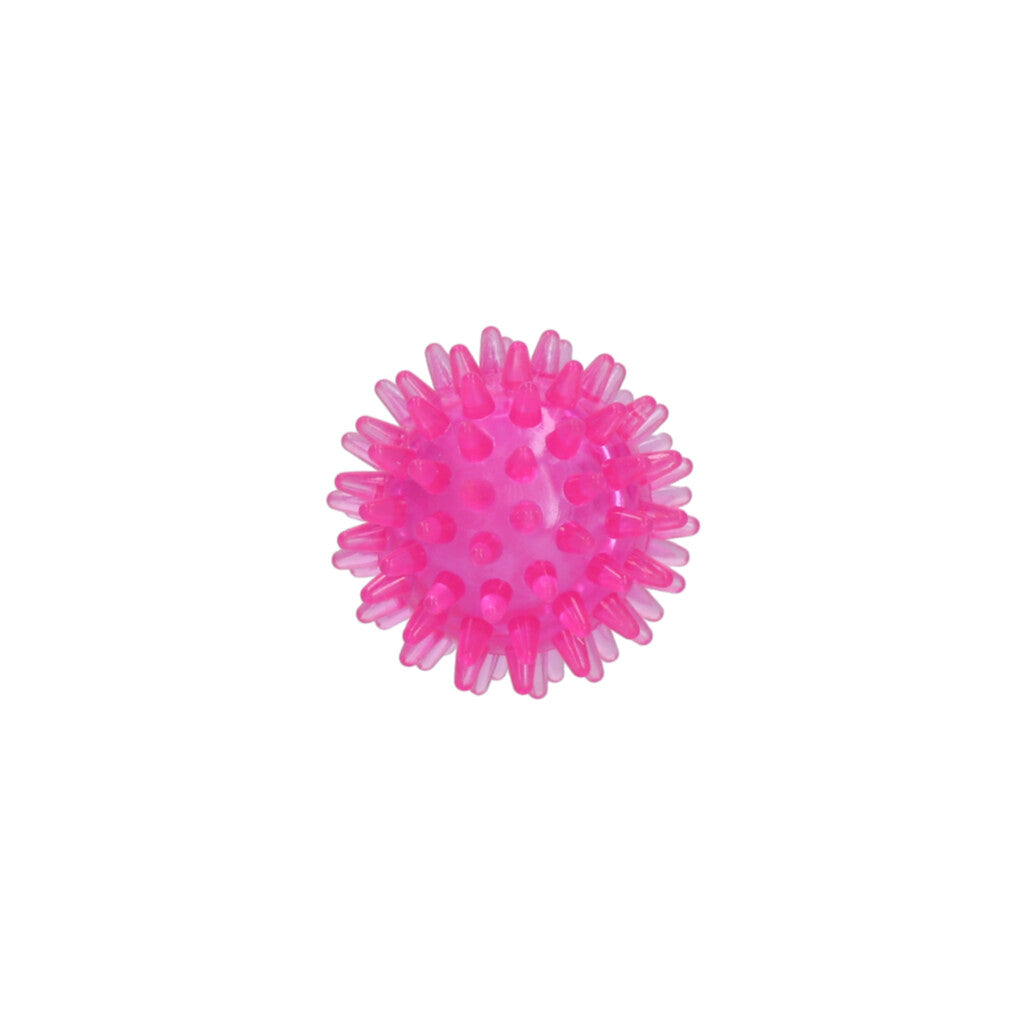 Dog Comets Exoplanet Piggball