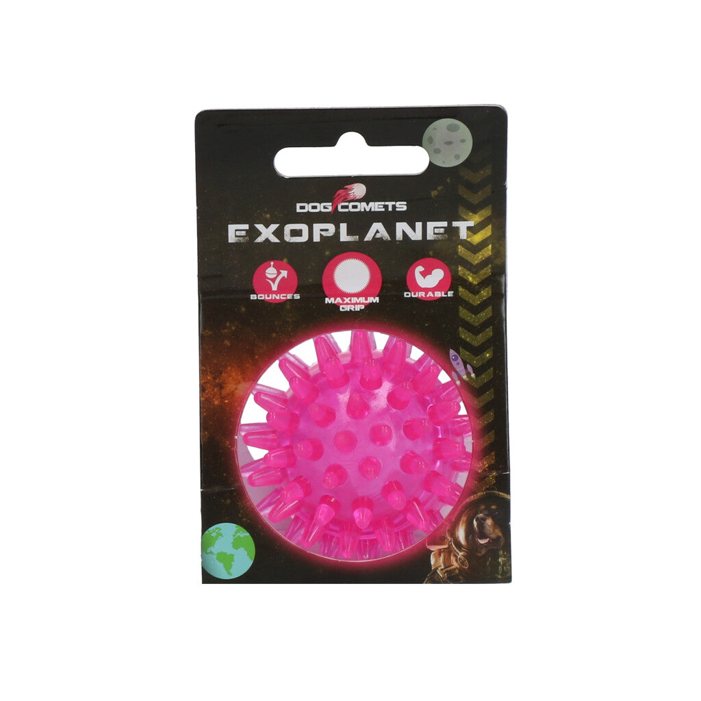 Dog Comets Exoplanet Piggball